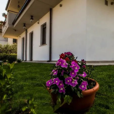 Olganna Con Parcheggi Privati 4* ואסטו