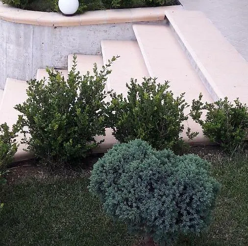 Olganna Con Parcheggi Privati 4* Vasto